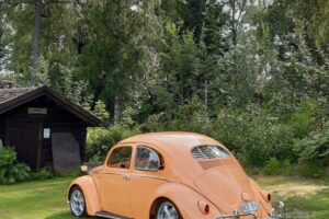 Volkswagen Typ 1 Oval –56