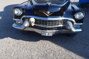 Cadillac flowercar –55