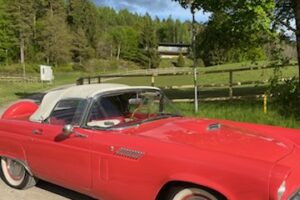 Ford Thunderbird –56