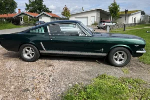 Ford Mustang Fastback –65