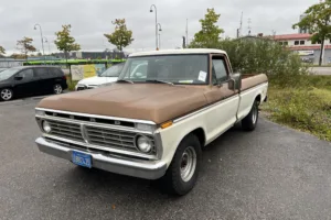 Ford ford F100 custom –73