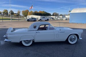 Ford Thunderbird  –56