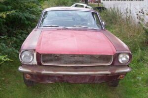 Ford Mustang –66