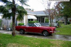 Ford Mustang cab –66