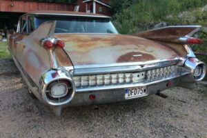 Cadillac Flattop –59