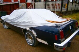 Ford Ltd –80