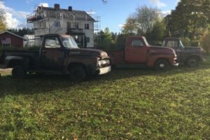 Ford F 100 –54