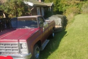 Chevrolet Pickup –79