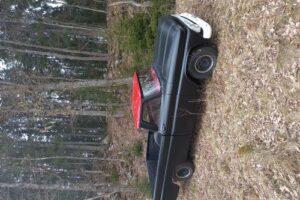 Chevrolet C10 lång fleets –65