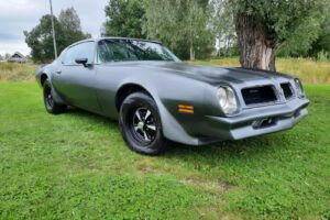 Pontiac Firebird esprit –76