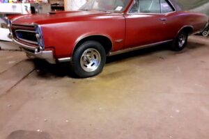 Pontiac Gto 66 –66