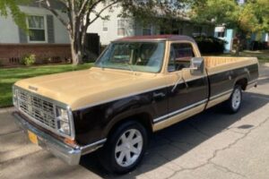 Dodge D 150 adventurer  pickup –79