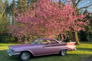 Chrysler Golden lion –61