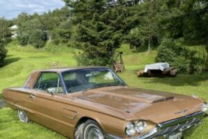Ford Thunderbird –65