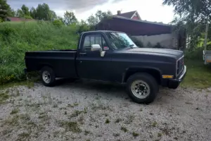Chevrolet C10 Longbed –79